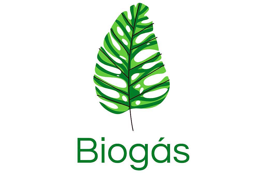 Boletín de ayudas y subvenciones a proyectos de instalaciones de biogás